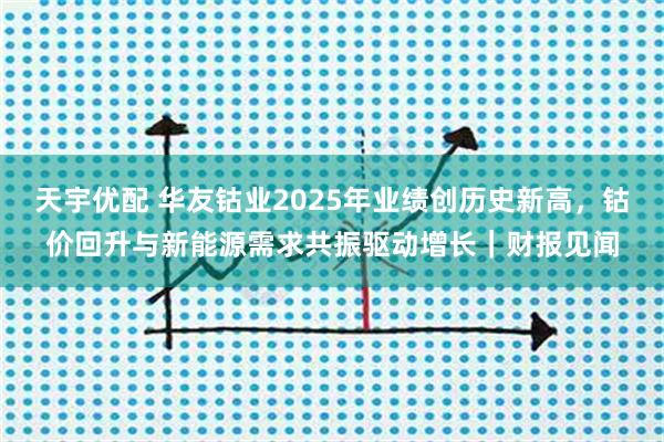 天宇优配 华友钴业2025年业绩创历史新高，钴价回升与新能源需求共振驱动增长｜财报见闻